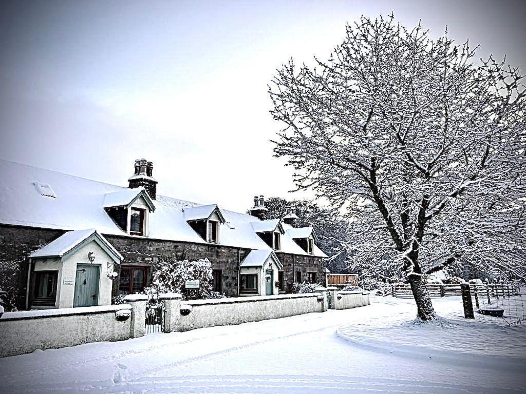 Rosemount Bothy - Highland Cottage 가르베 외부 사진